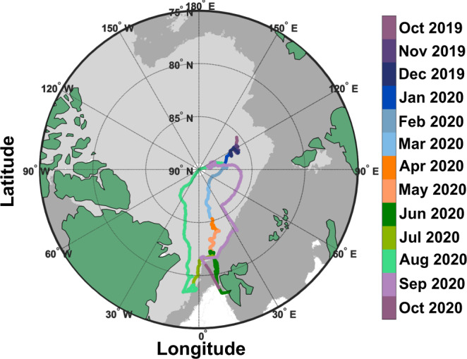 Fig. 1