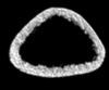 graphic file with name 13018_2022_3276_Figh_HTML.gif