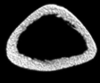 graphic file with name 13018_2022_3276_Figi_HTML.gif