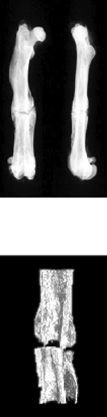 graphic file with name 13018_2022_3276_Figc_HTML.gif