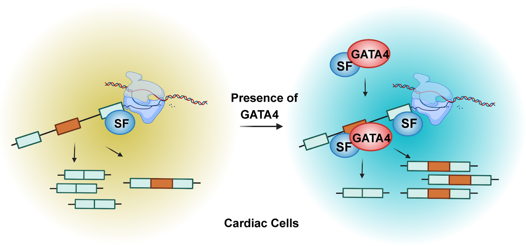 Fig. 6: