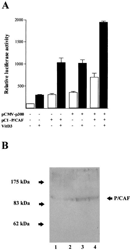 FIG. 9.