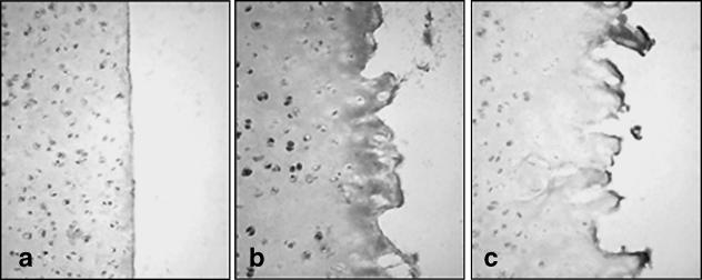 Fig. 11