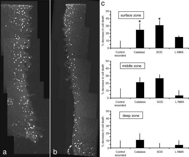 Fig. 10