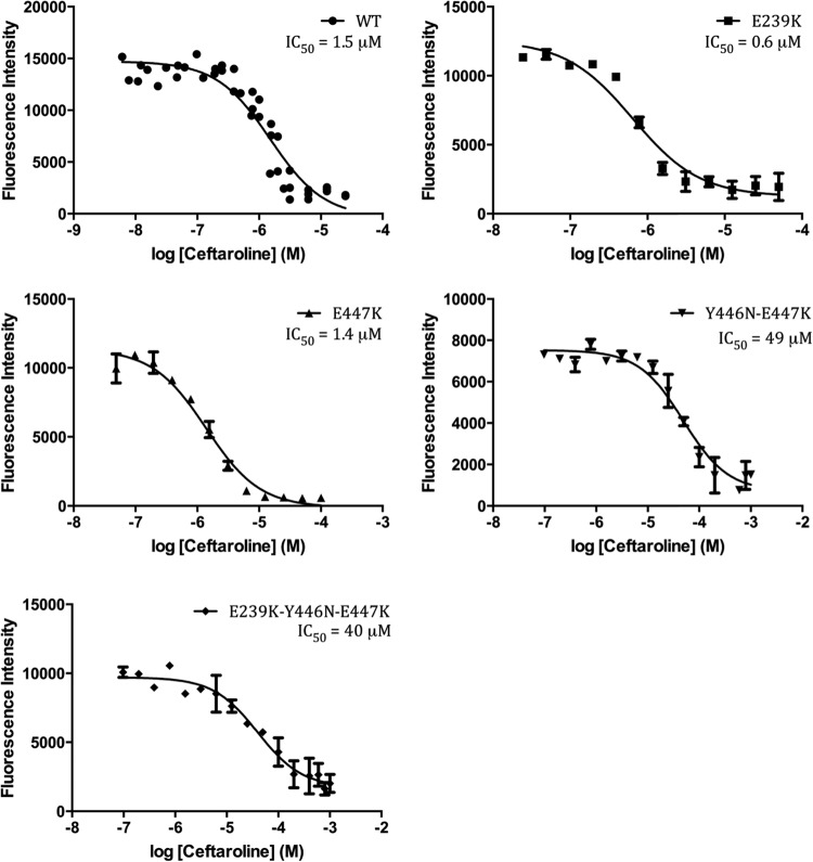 FIG 3