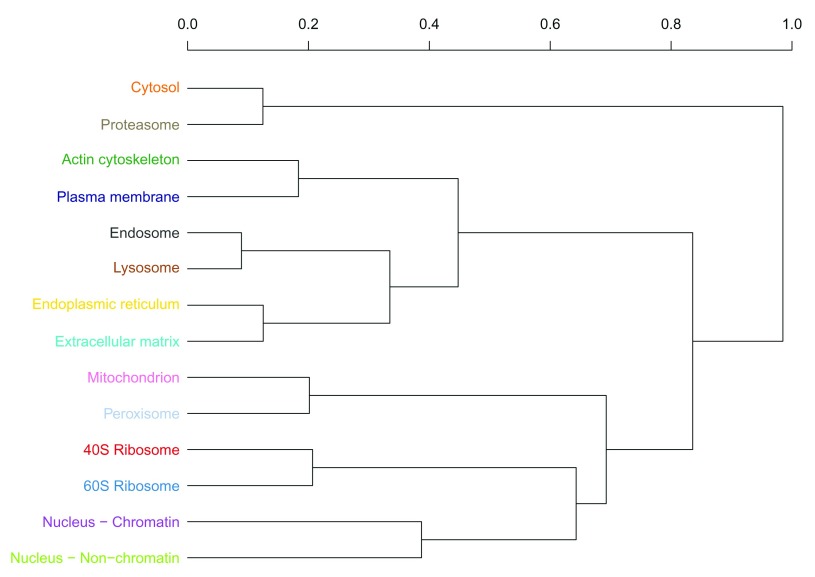 Figure 21. 