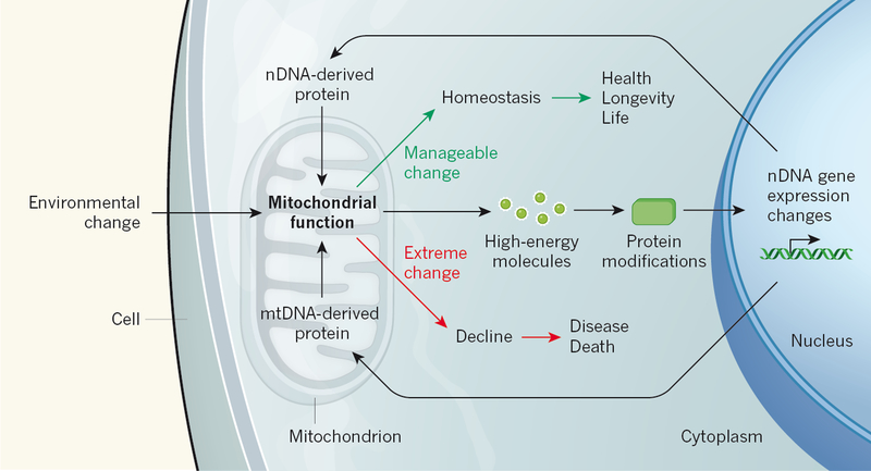 Figure 1 |