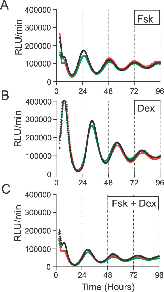 Figure 12