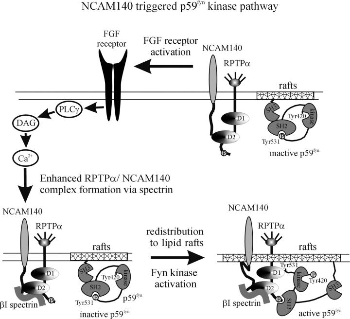 Figure 9.