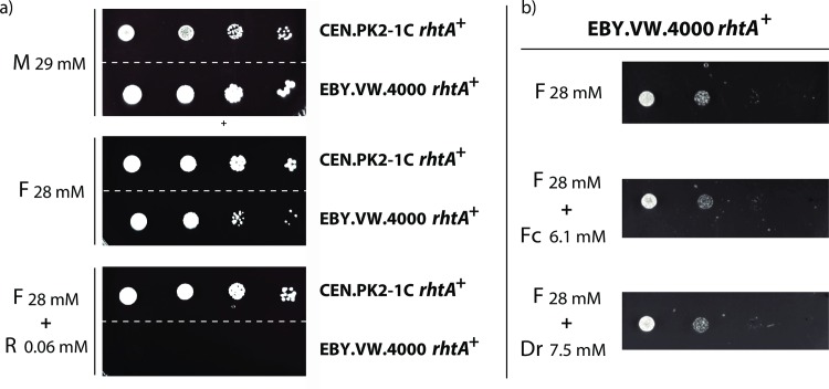 Fig 4