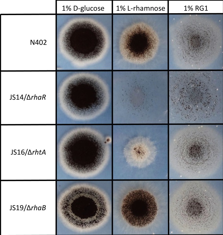 Fig 9