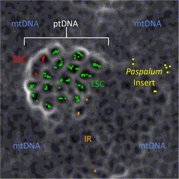 Fig. 3