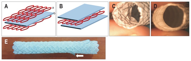 Fig. 1