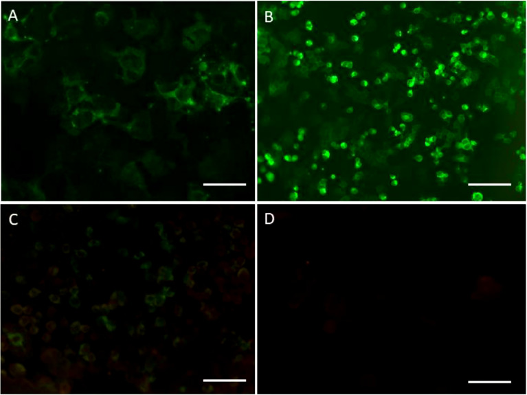 Figure 2