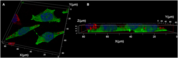 Figure 6