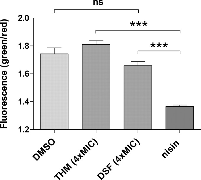FIG 3