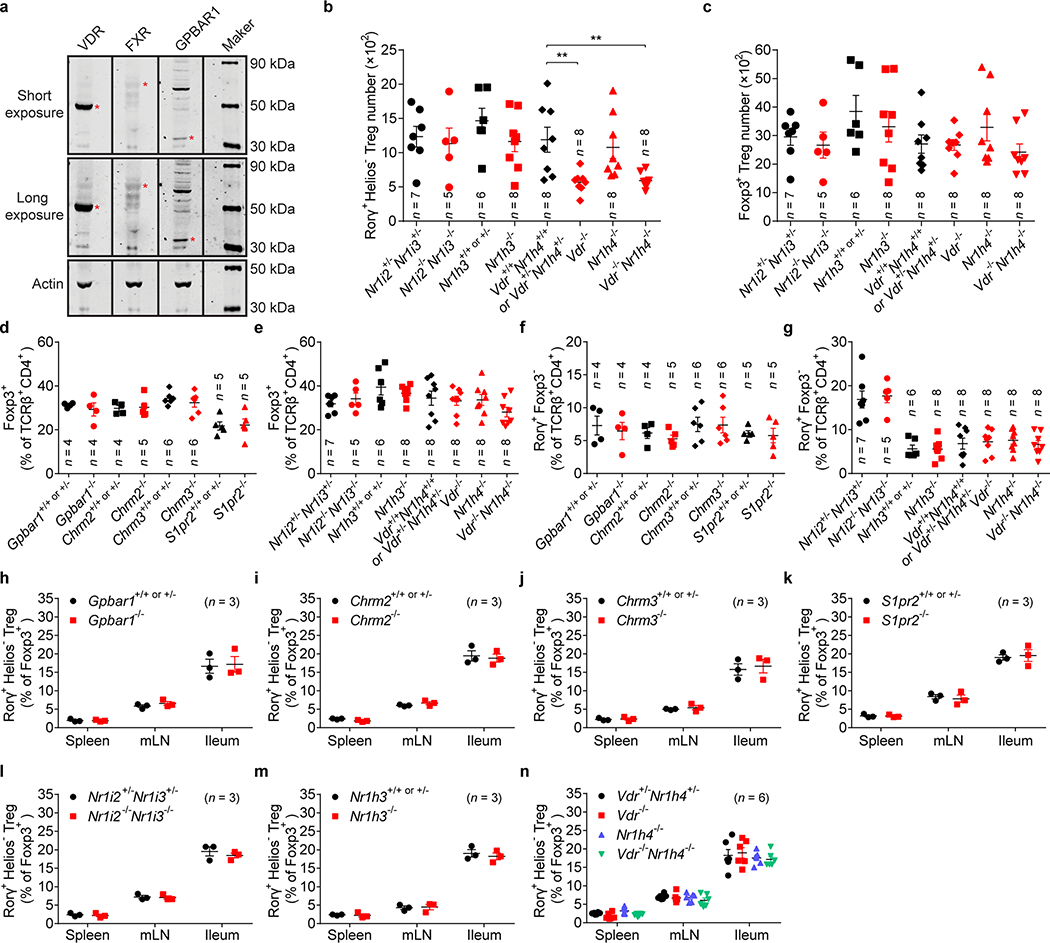 Extended Data Fig. 6