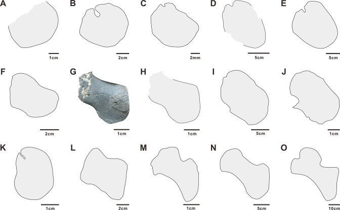 Figure 7.