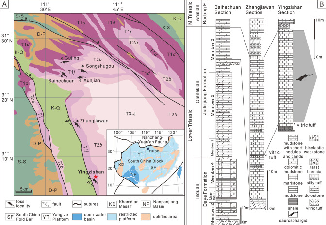 Figure 1.