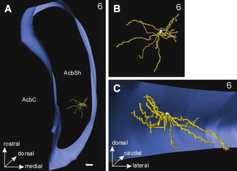 Fig. 10