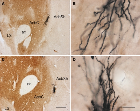 Fig. 6