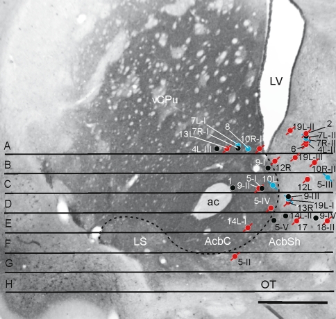 Fig. 3