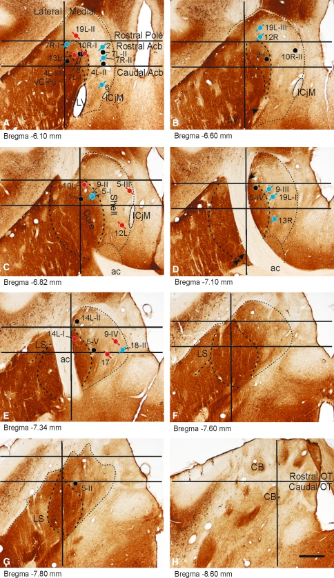 Fig. 2