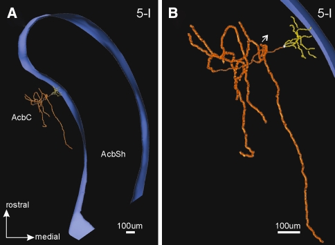 Fig. 12