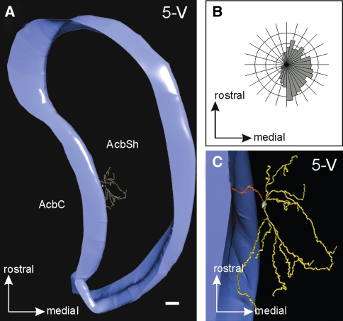 Fig. 11