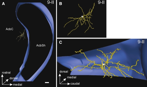 Fig. 4