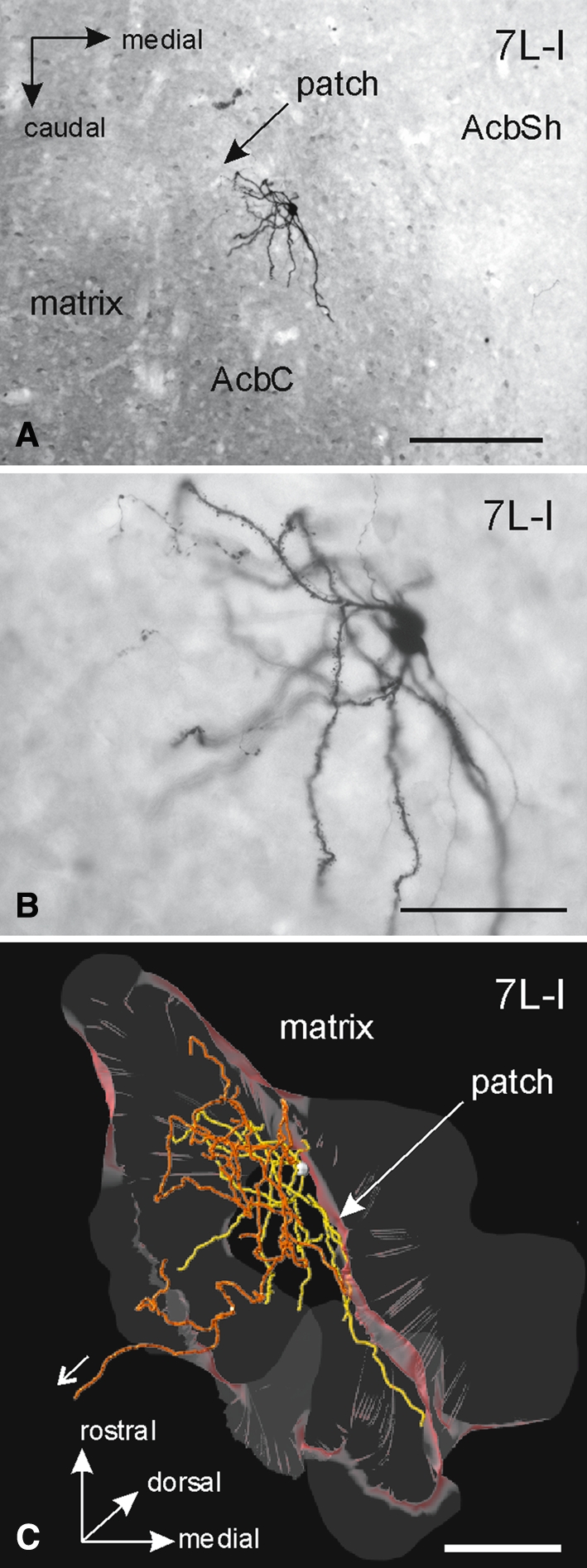 Fig. 9