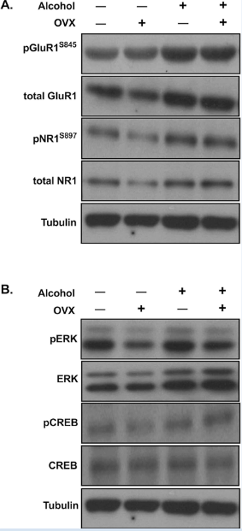 Figure 6: