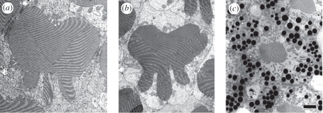 Figure 2.