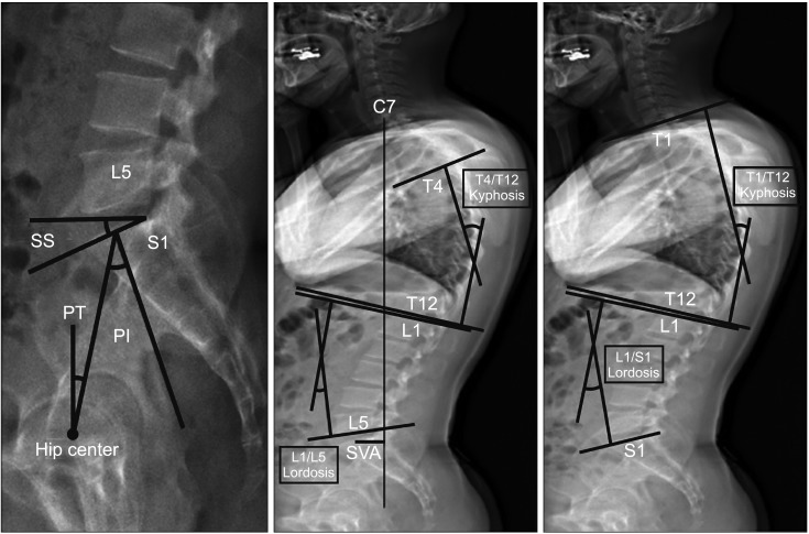 Fig. 4