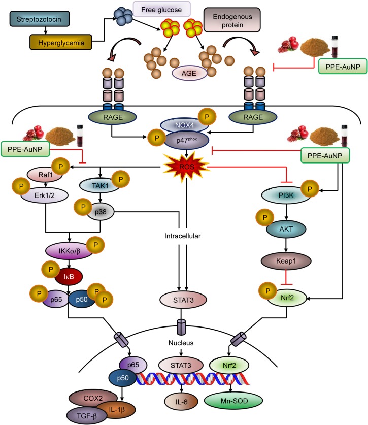 Figure 14