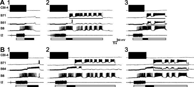 Figure 10.