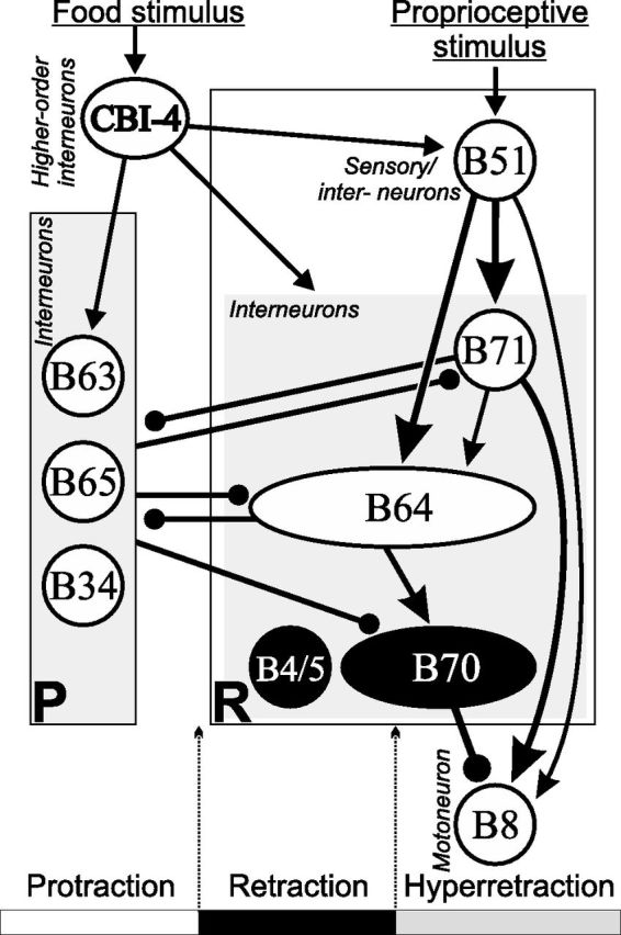 Figure 13.