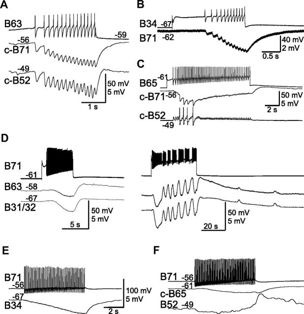 Figure 7.