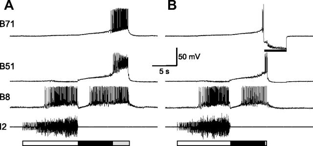 Figure 9.