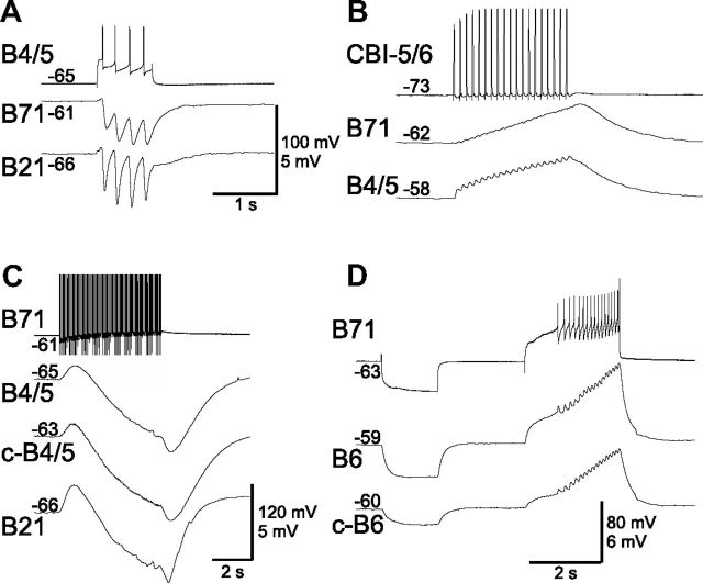 Figure 6.