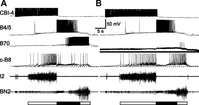 Figure 12.