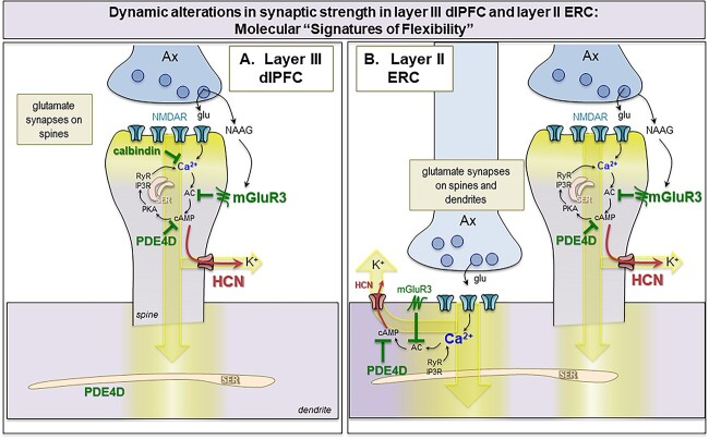 Fig. 13