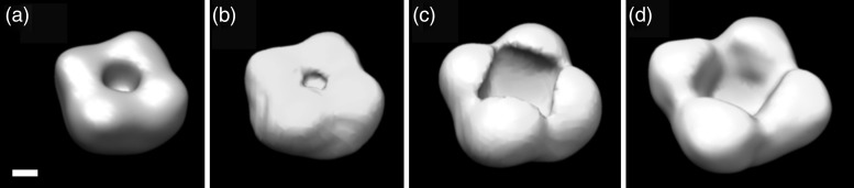 Fig. 4.