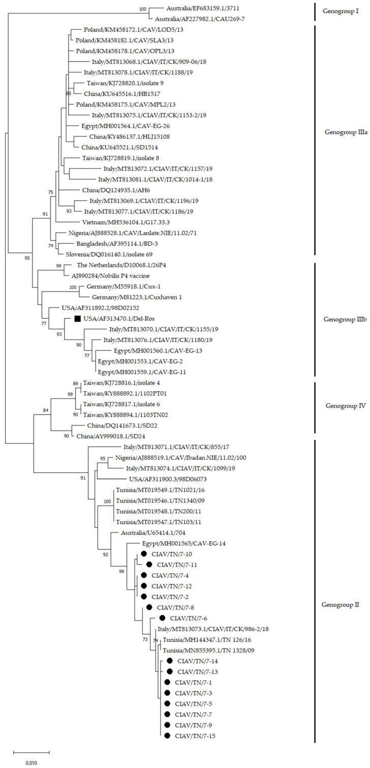 Figure 2