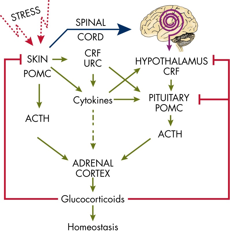 Figure 7.