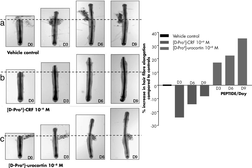 Figure 10.