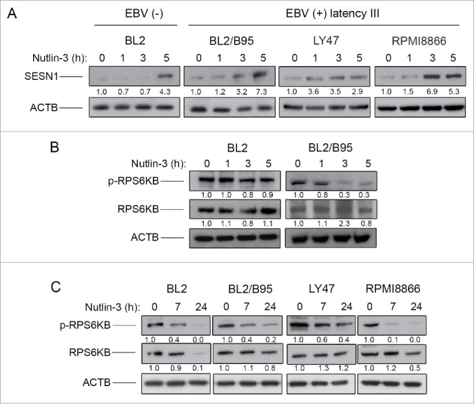 Figure 6.