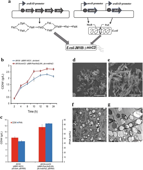 Fig. 7