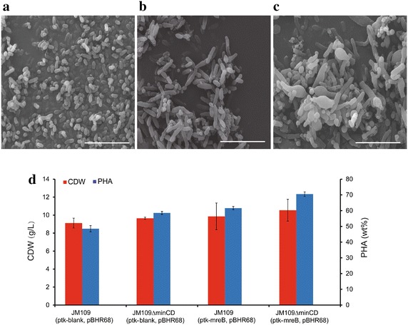 Fig. 6