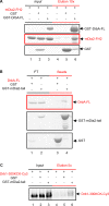 FIGURE 4: